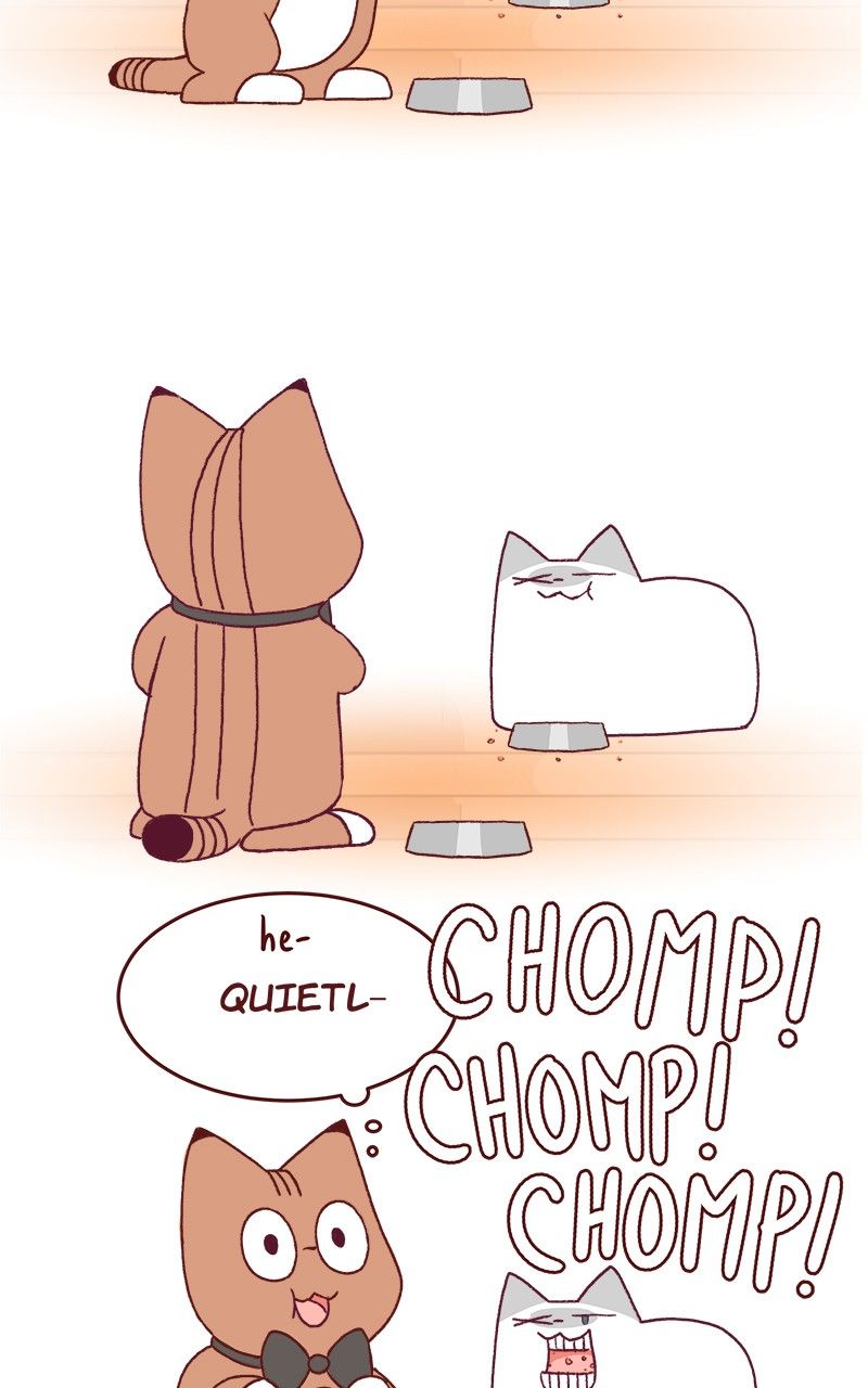 Saphie: The One-Eyed Cat Chapter 173 page 5 - Chapter 173