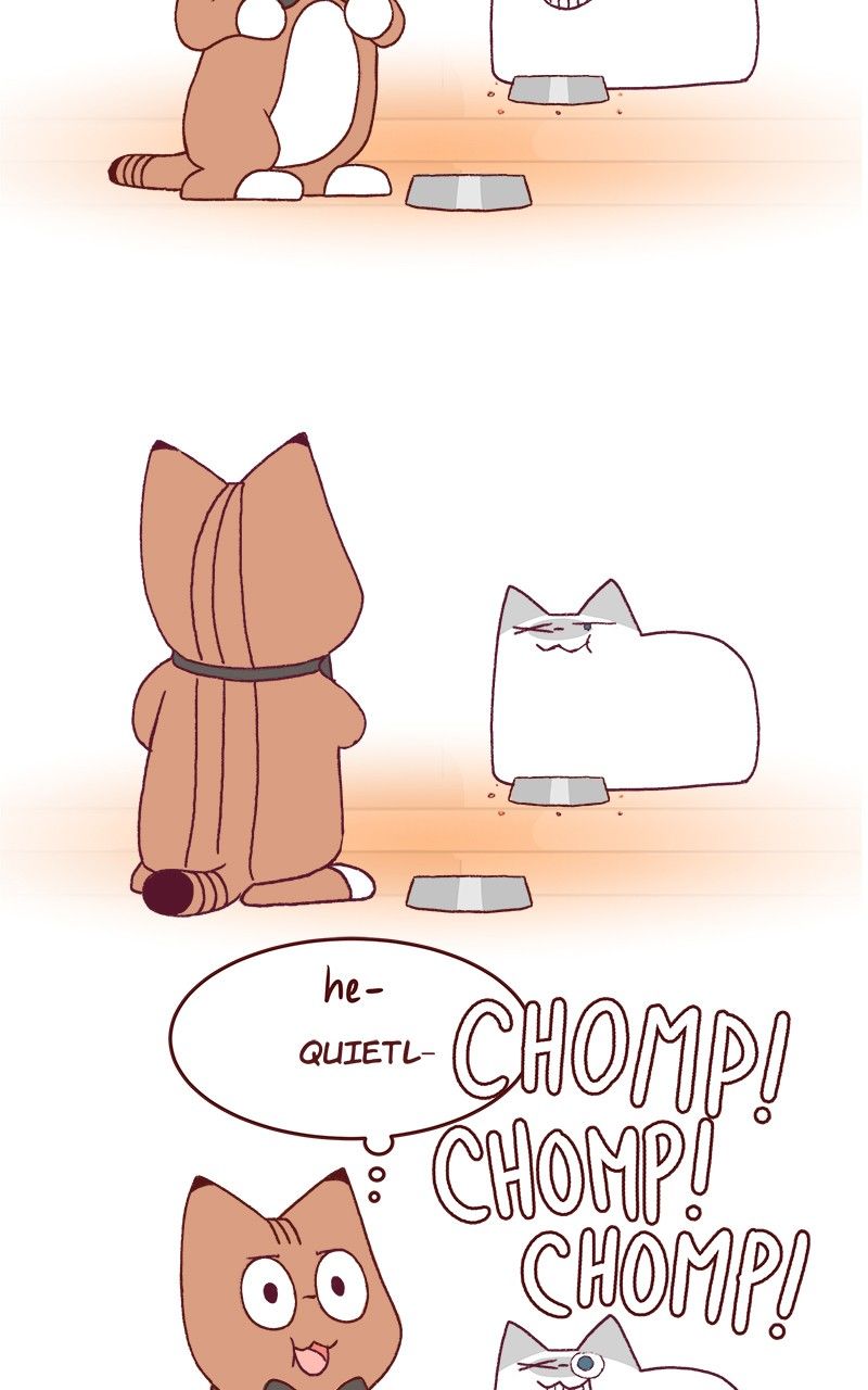 Saphie: The One-Eyed Cat Chapter 173 page 6 - Chapter 173