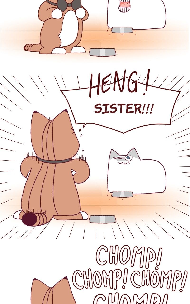 Saphie: The One-Eyed Cat Chapter 173 page 7 - Chapter 173