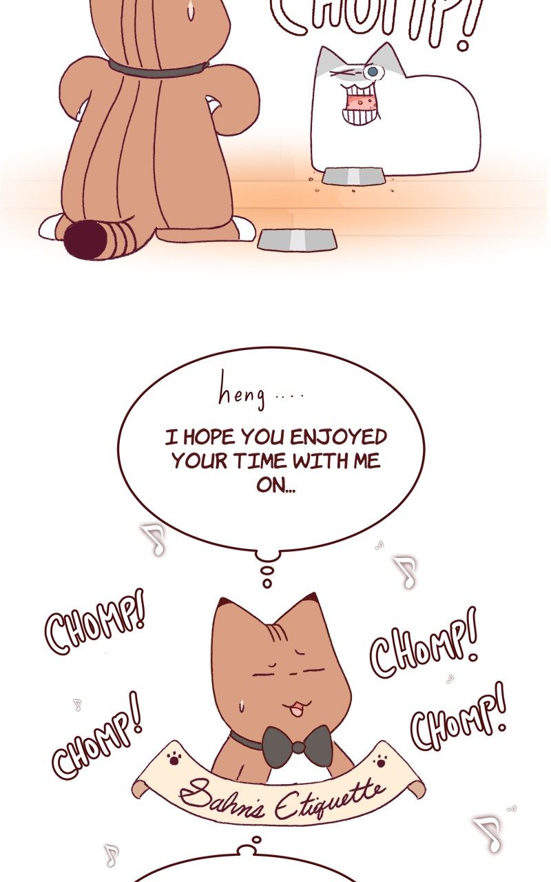 Saphie: The One-Eyed Cat Chapter 173 page 8 - Chapter 173