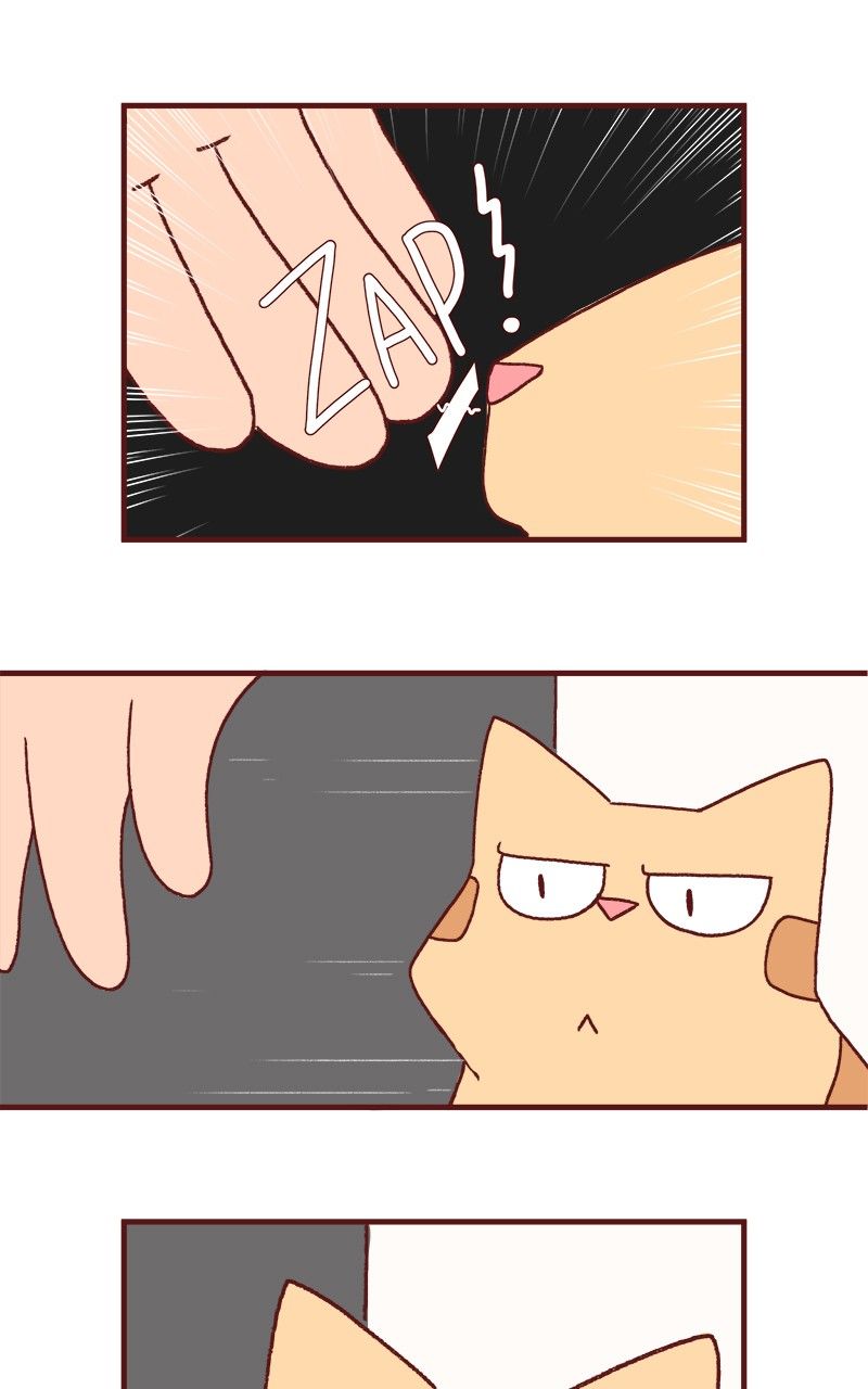 Saphie: The One-Eyed Cat Chapter 174 page 5 - Chapter 174