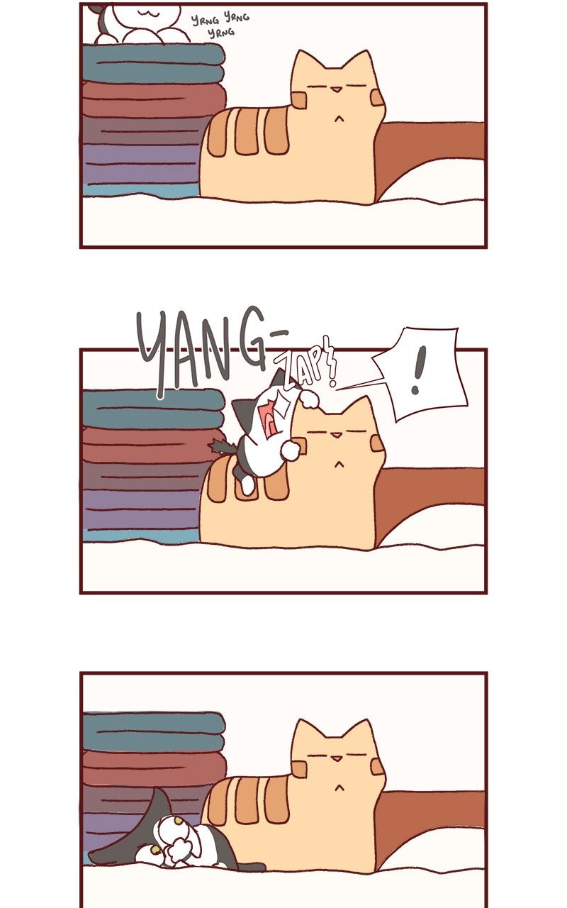 Saphie: The One-Eyed Cat Chapter 174 page 9 - Chapter 174