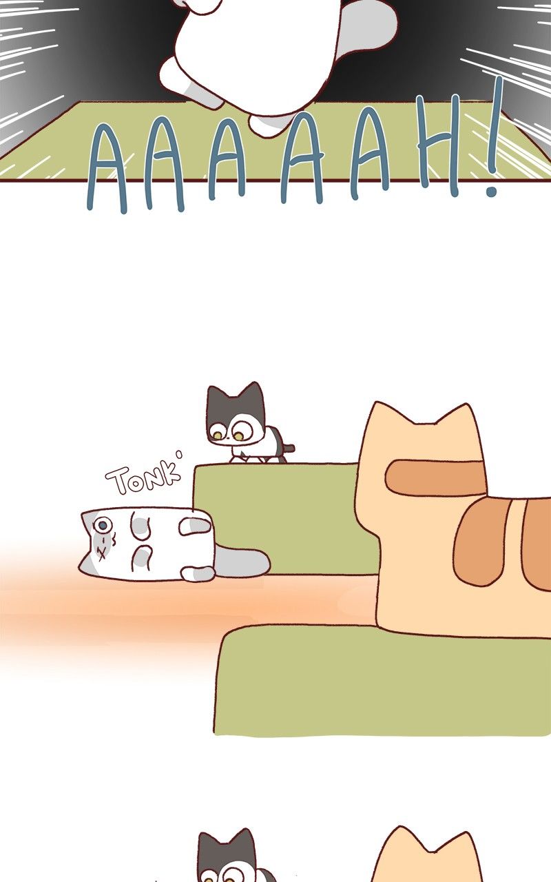 Saphie: The One-Eyed Cat Chapter 175 page 10 - Chapter 175