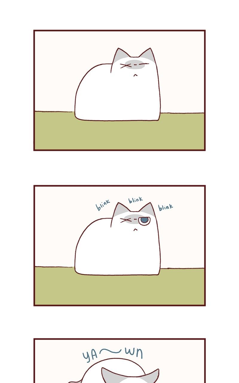 Saphie: The One-Eyed Cat Chapter 175 page 2 - Chapter 175
