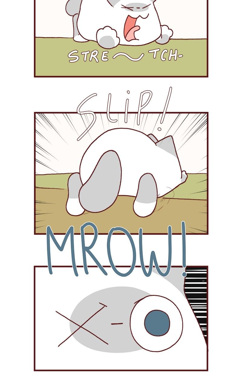 Saphie: The One-Eyed Cat Chapter 175 page 3 - Chapter 175