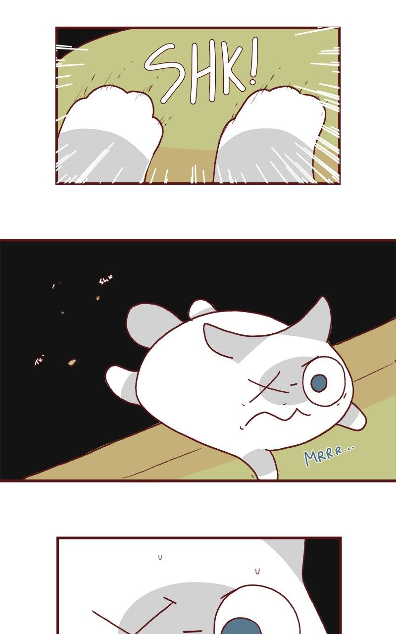 Saphie: The One-Eyed Cat Chapter 175 page 4 - Chapter 175