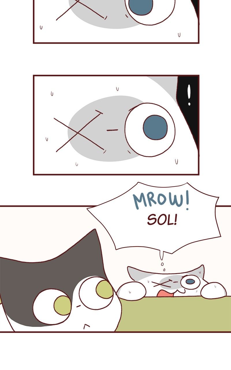 Saphie: The One-Eyed Cat Chapter 175 page 5 - Chapter 175