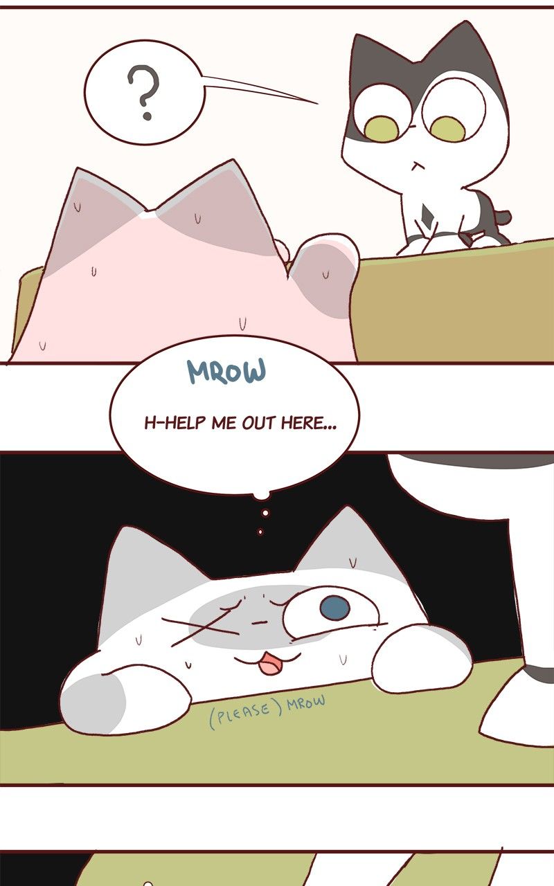 Saphie: The One-Eyed Cat Chapter 175 page 6 - Chapter 175