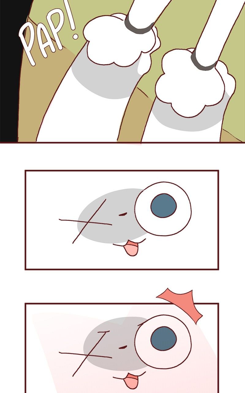 Saphie: The One-Eyed Cat Chapter 175 page 7 - Chapter 175