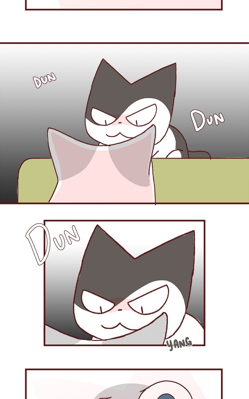 Saphie: The One-Eyed Cat Chapter 175 page 8 - Chapter 175