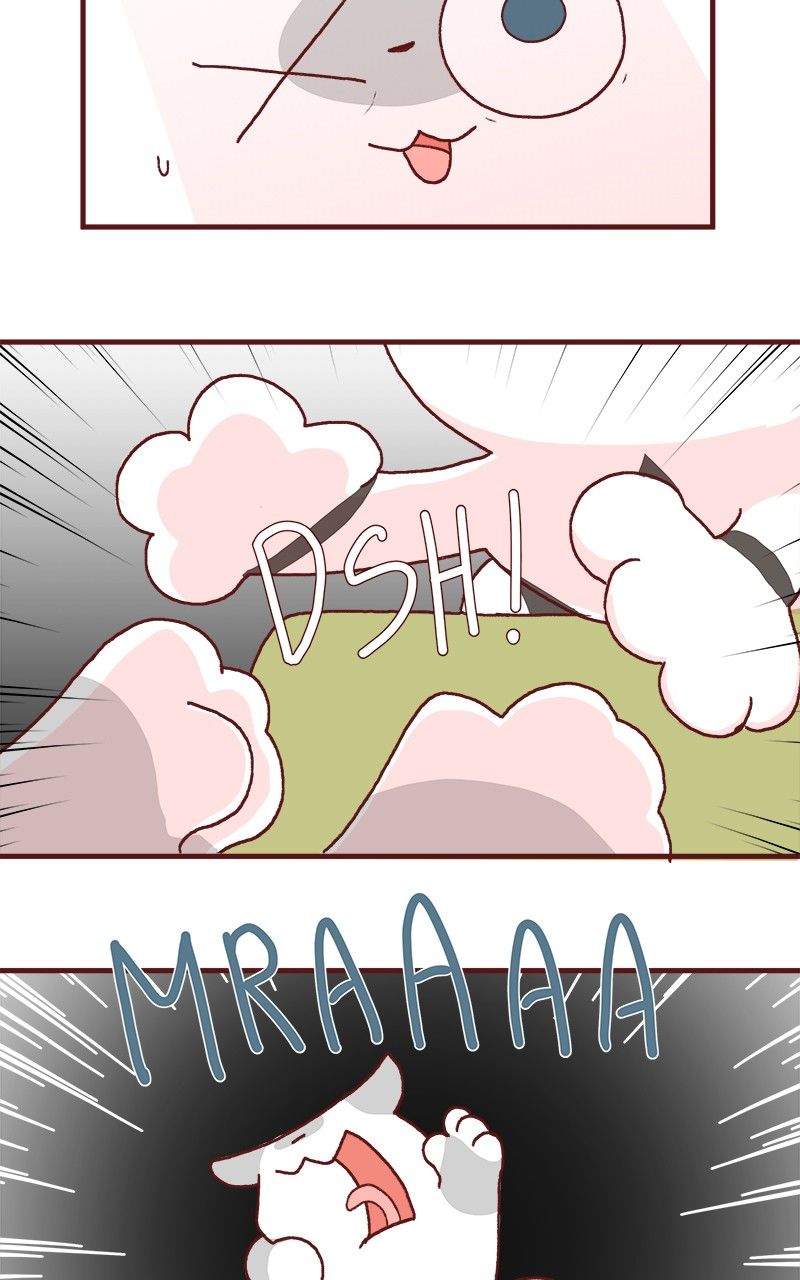 Saphie: The One-Eyed Cat Chapter 175 page 9 - Chapter 175