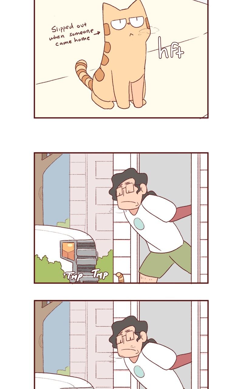Saphie: The One-Eyed Cat Chapter 176 page 14 - Chapter 176
