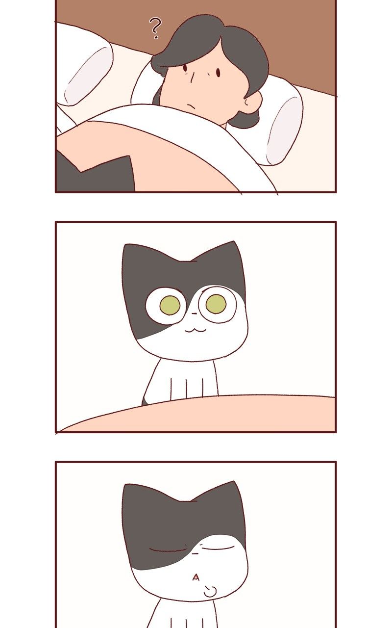 Saphie: The One-Eyed Cat Chapter 177 page 11 - Chapter 177