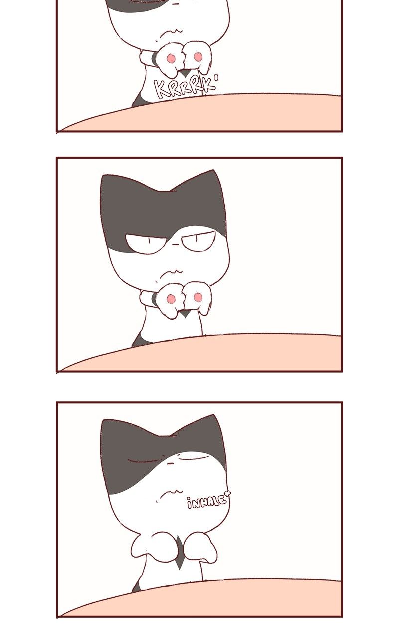 Saphie: The One-Eyed Cat Chapter 177 page 13 - Chapter 177