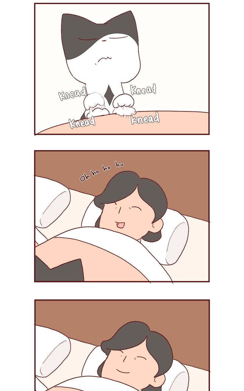 Saphie: The One-Eyed Cat Chapter 177 page 14 - Chapter 177
