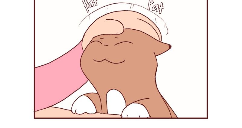 Saphie: The One-Eyed Cat Chapter 177 page 16 - Chapter 177
