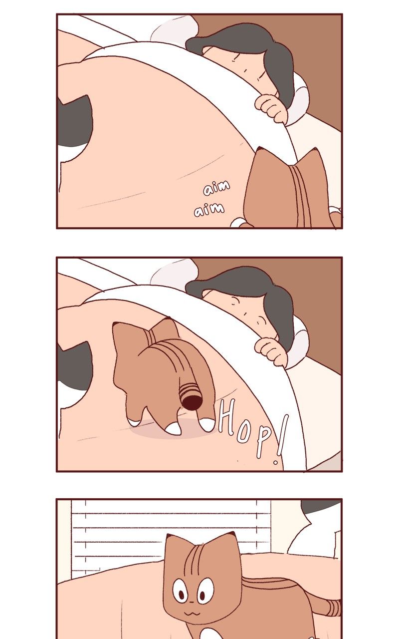 Saphie: The One-Eyed Cat Chapter 177 page 17 - Chapter 177