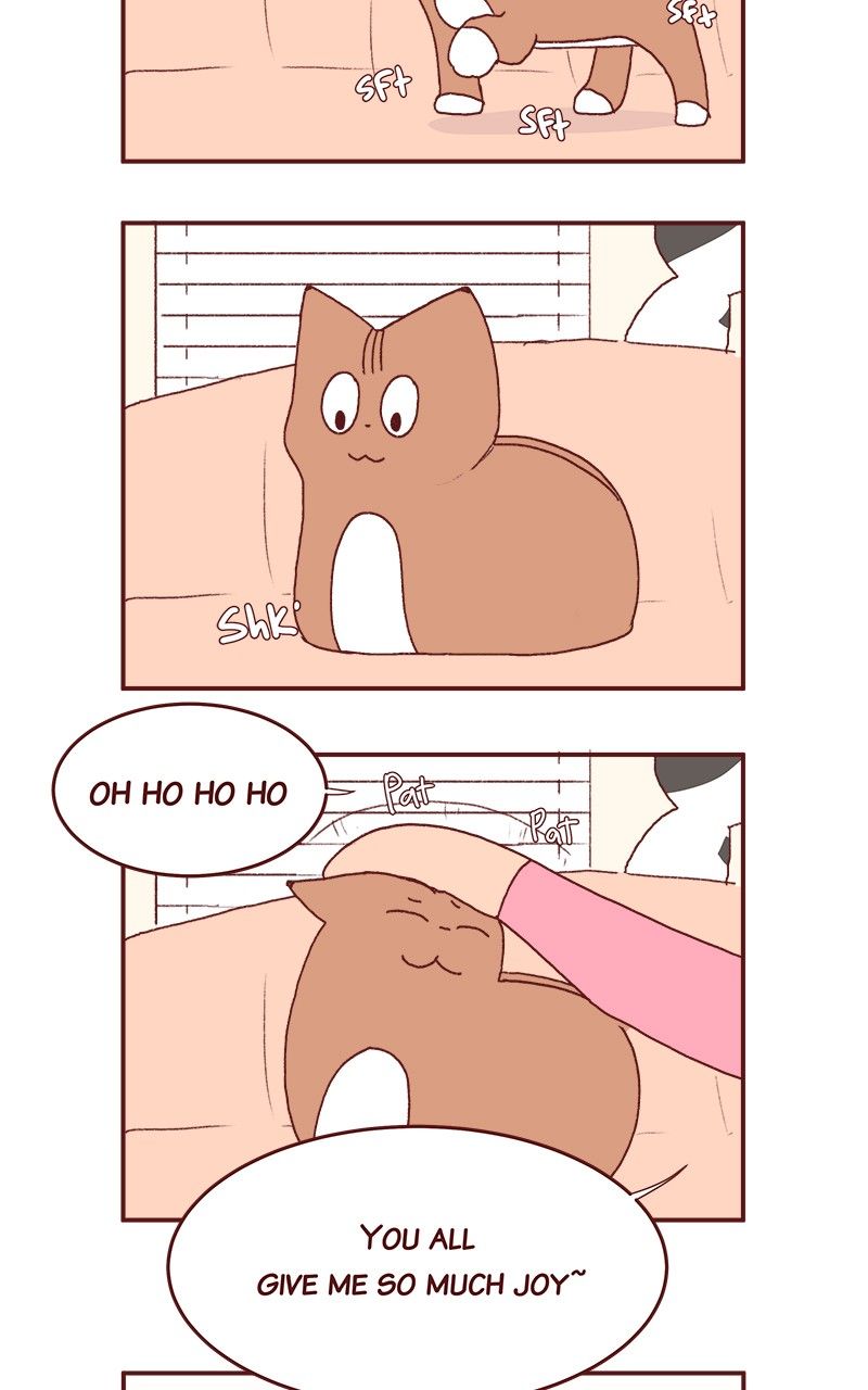 Saphie: The One-Eyed Cat Chapter 177 page 18 - Chapter 177