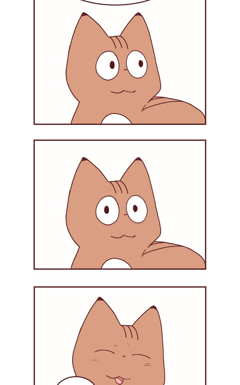 Saphie: The One-Eyed Cat Chapter 177 page 19 - Chapter 177