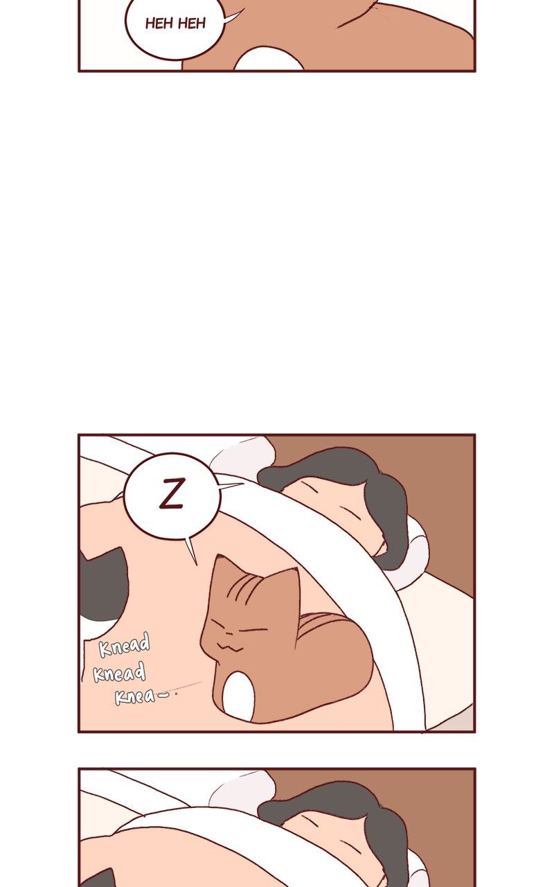 Saphie: The One-Eyed Cat Chapter 177 page 20 - Chapter 177