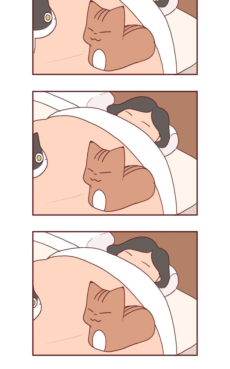 Saphie: The One-Eyed Cat Chapter 177 page 21 - Chapter 177
