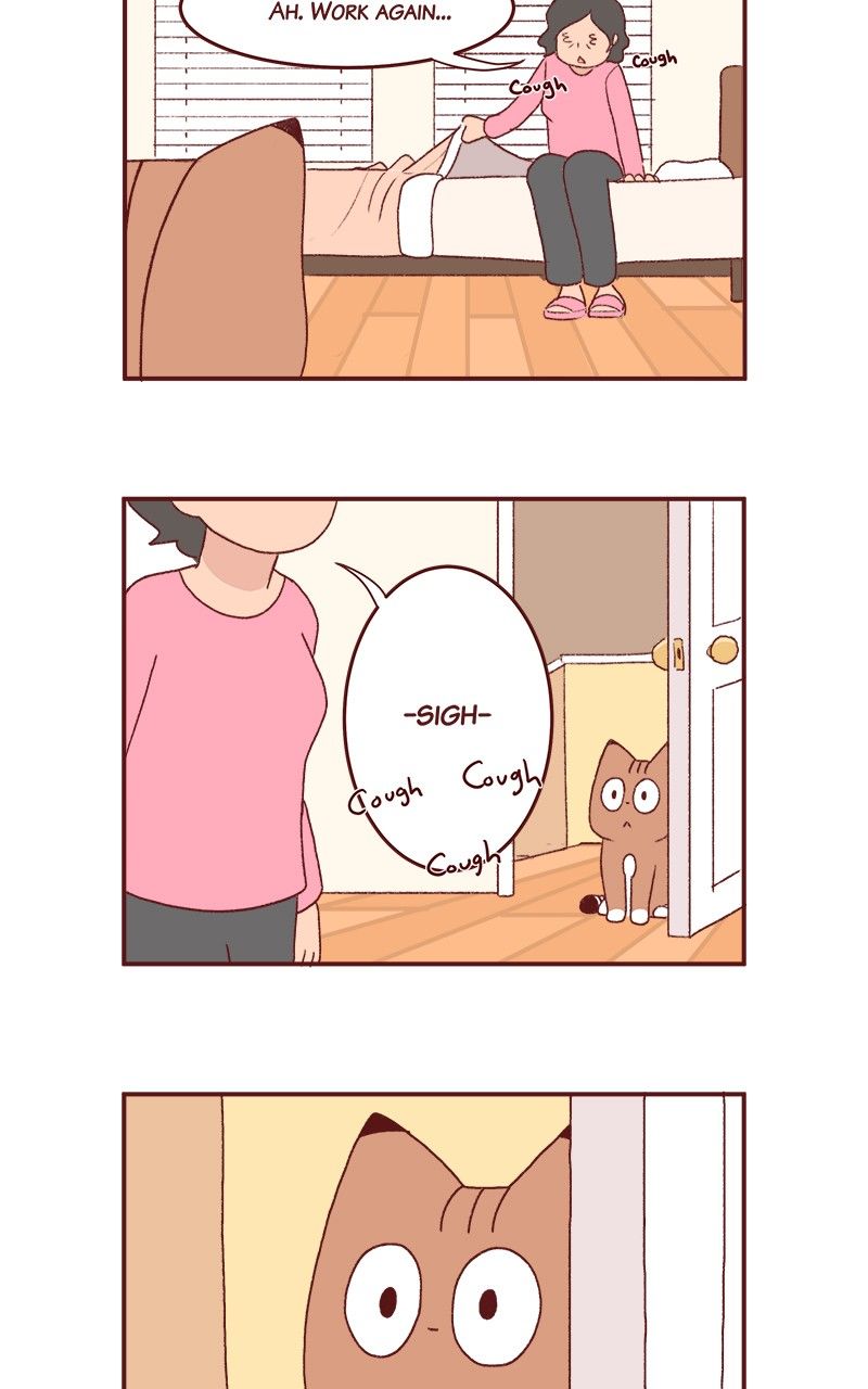 Saphie: The One-Eyed Cat Chapter 177 page 3 - Chapter 177