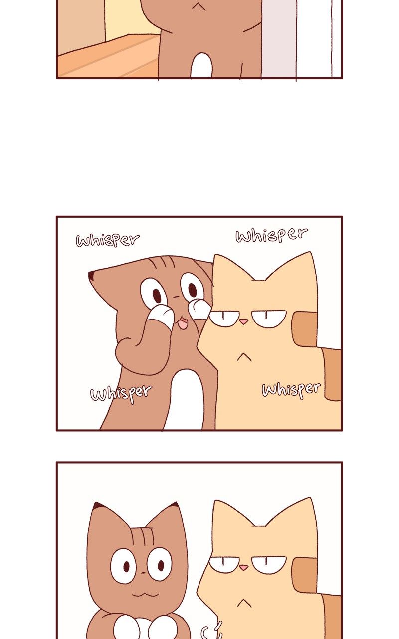 Saphie: The One-Eyed Cat Chapter 177 page 4 - Chapter 177
