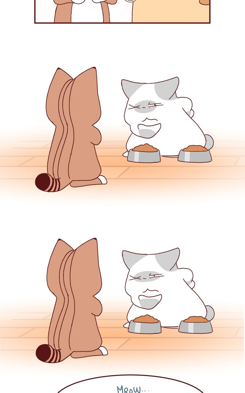Saphie: The One-Eyed Cat Chapter 177 page 5 - Chapter 177