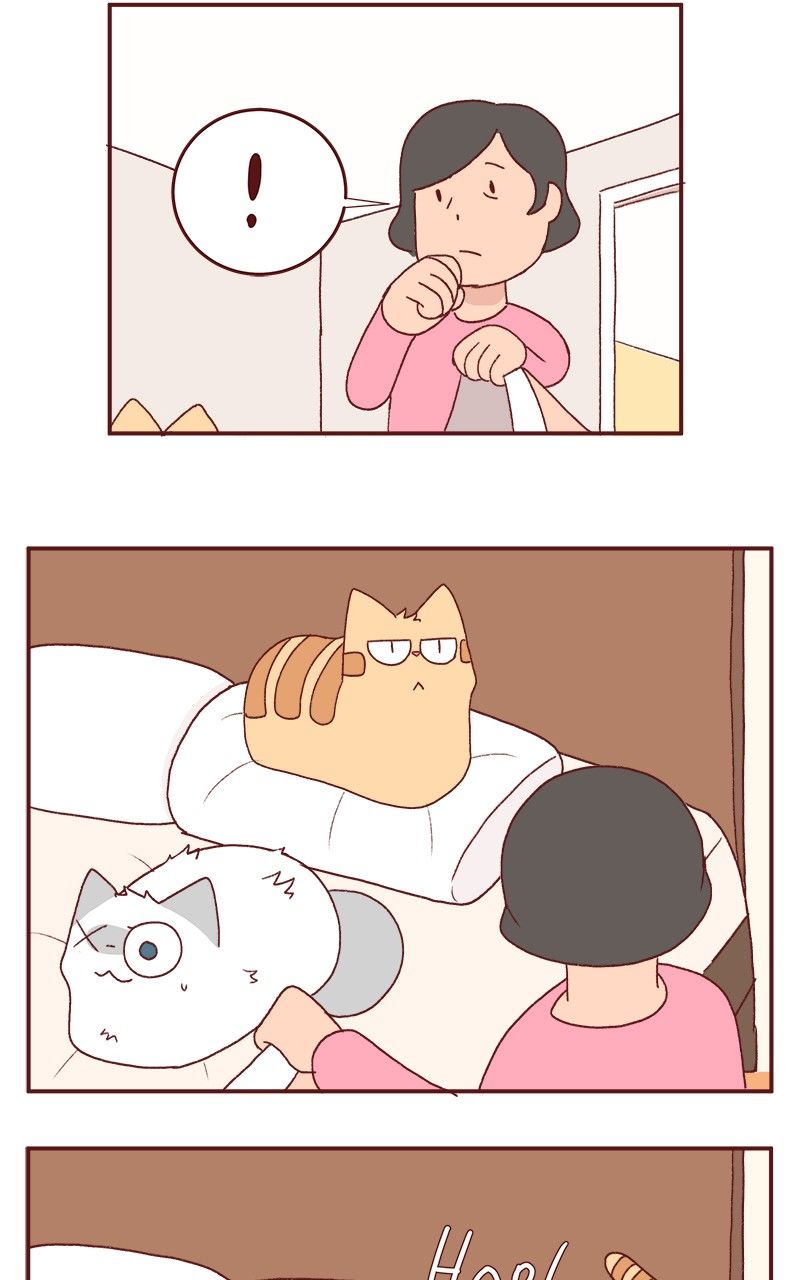 Saphie: The One-Eyed Cat Chapter 177 page 8 - Chapter 177
