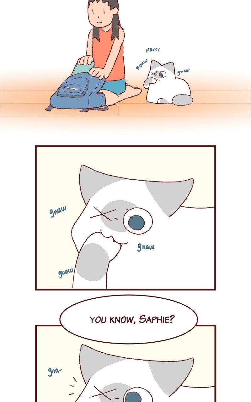 Saphie: The One-Eyed Cat Chapter 178 page 2 - Chapter 178