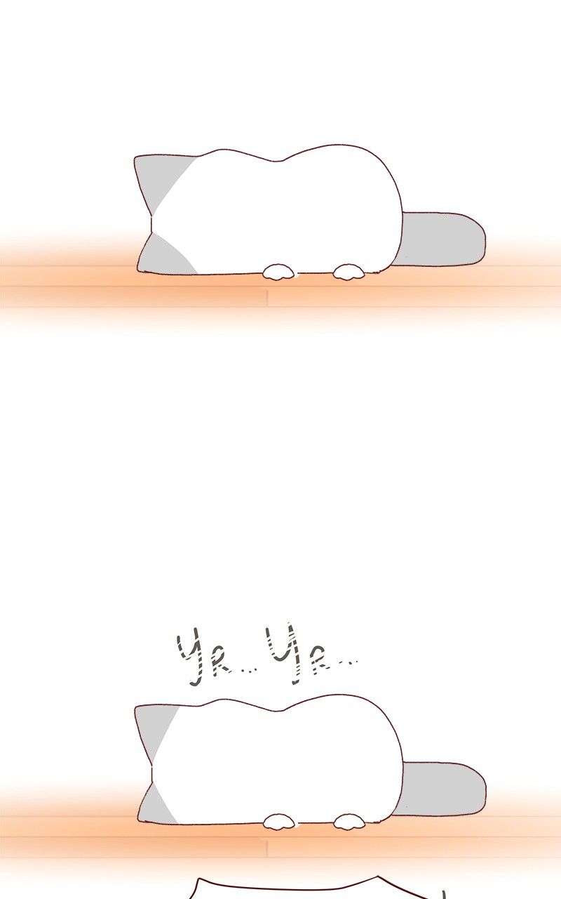 Saphie: The One-Eyed Cat Chapter 179 page 12 - Chapter 179