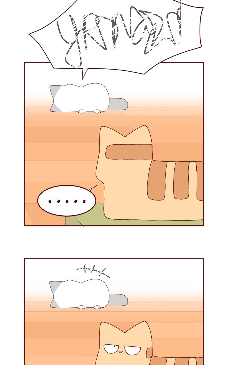 Saphie: The One-Eyed Cat Chapter 179 page 13 - Chapter 179