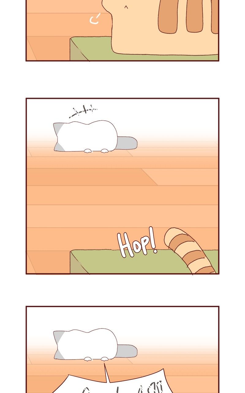 Saphie: The One-Eyed Cat Chapter 179 page 14 - Chapter 179