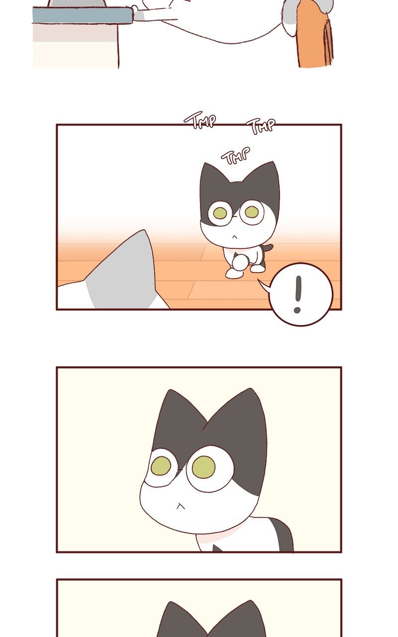 Saphie: The One-Eyed Cat Chapter 179 page 5 - Chapter 179