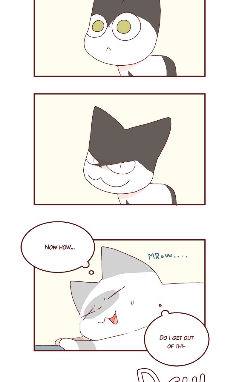 Saphie: The One-Eyed Cat Chapter 179 page 6 - Chapter 179