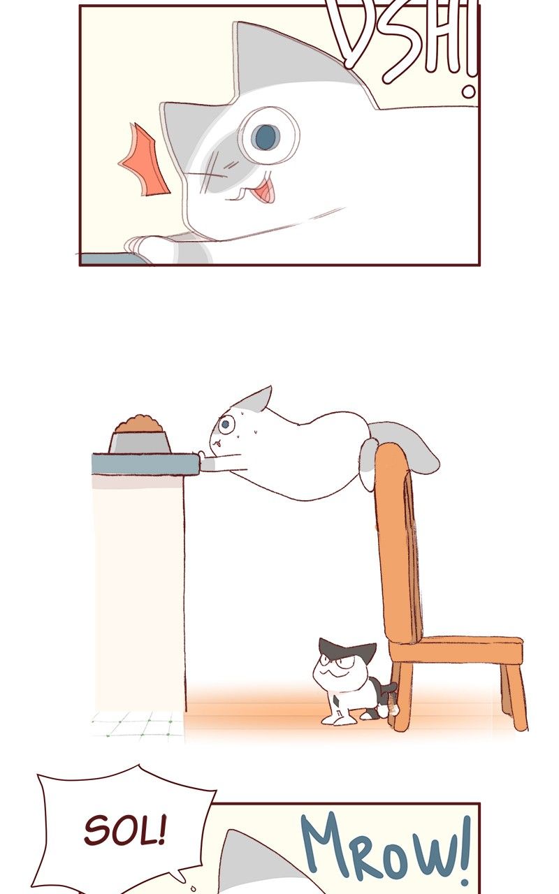 Saphie: The One-Eyed Cat Chapter 179 page 7 - Chapter 179