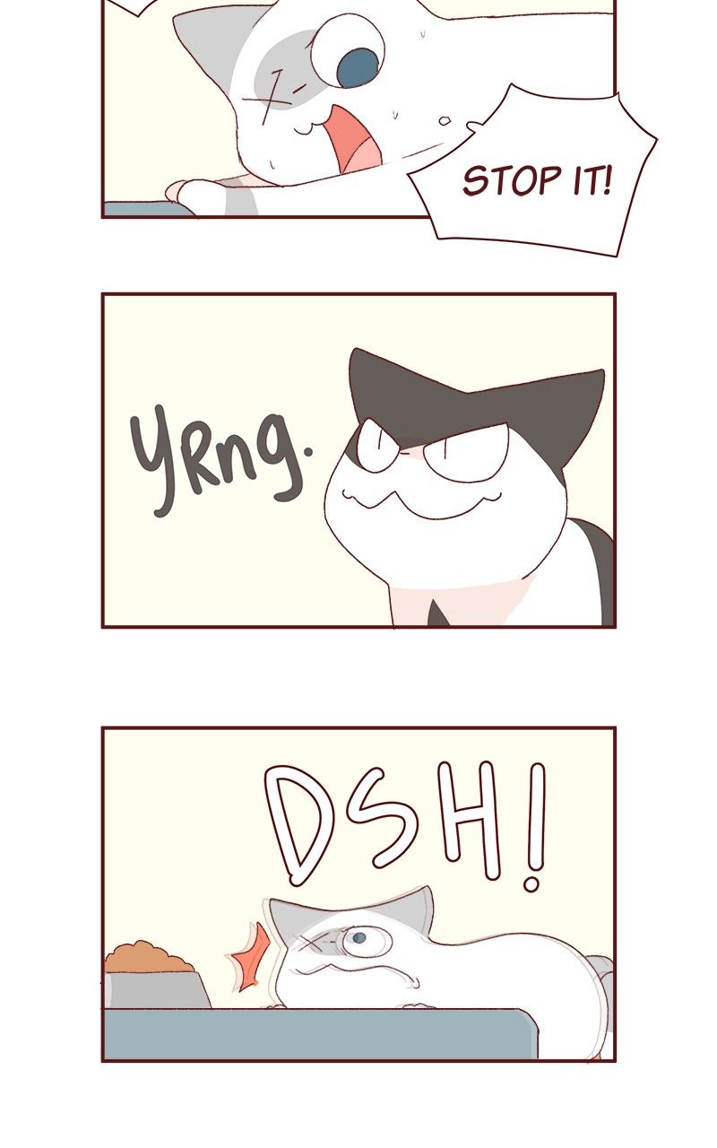 Saphie: The One-Eyed Cat Chapter 179 page 8 - Chapter 179