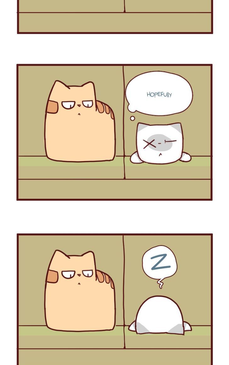 Saphie: The One-Eyed Cat Chapter 18 page 11 - Chapter 18 : Efficiency