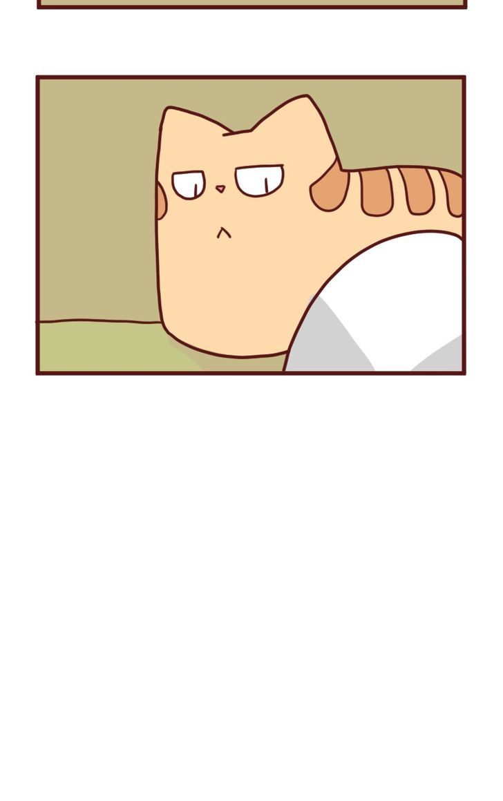 Saphie: The One-Eyed Cat Chapter 18 page 12 - Chapter 18 : Efficiency