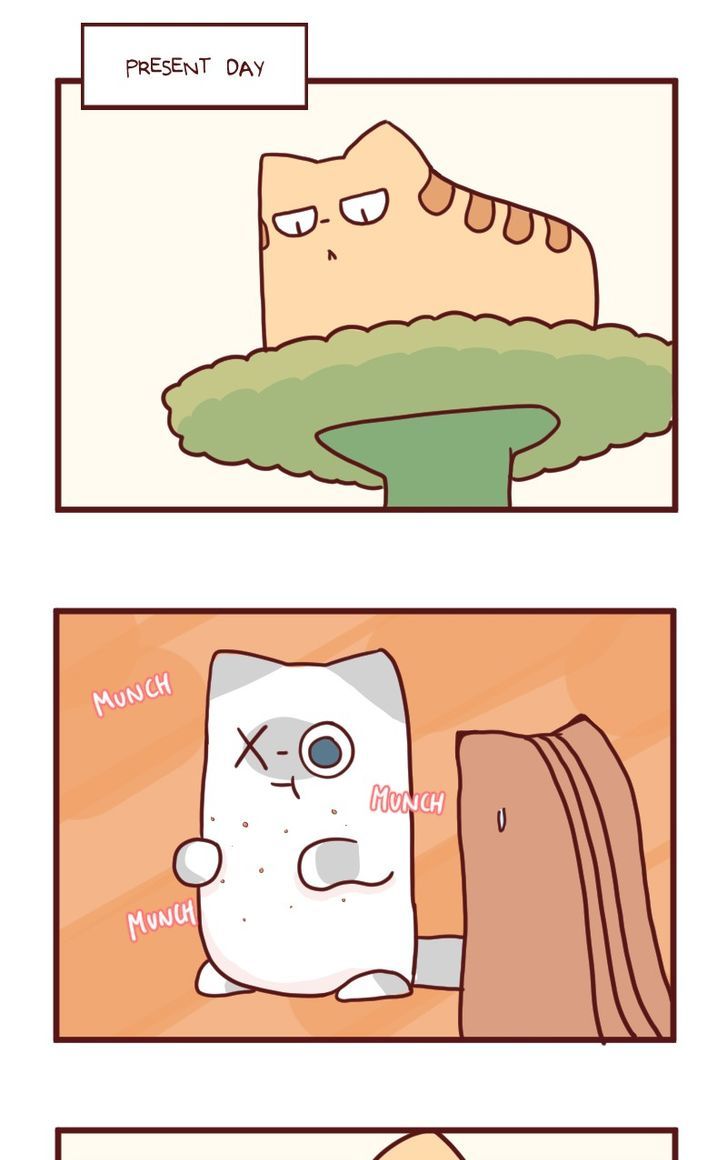 Saphie: The One-Eyed Cat Chapter 18 page 13 - Chapter 18 : Efficiency