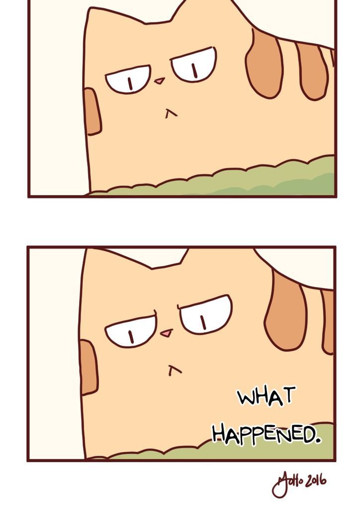 Saphie: The One-Eyed Cat Chapter 18 page 14 - Chapter 18 : Efficiency