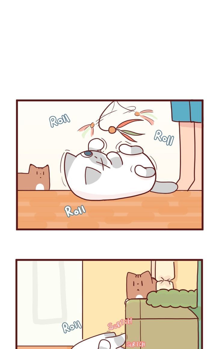 Saphie: The One-Eyed Cat Chapter 18 page 2 - Chapter 18 : Efficiency