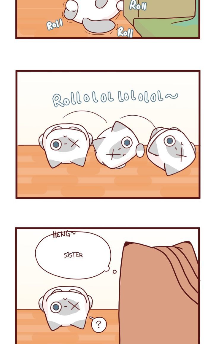 Saphie: The One-Eyed Cat Chapter 18 page 3 - Chapter 18 : Efficiency