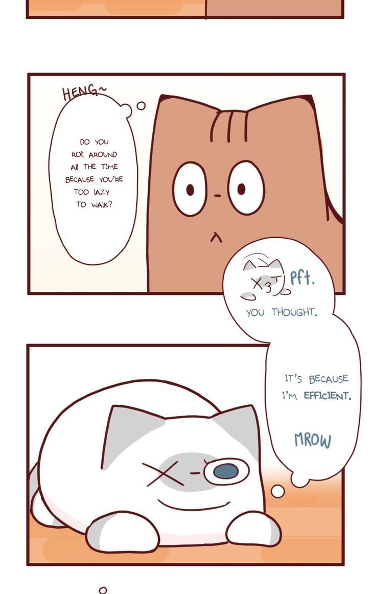 Saphie: The One-Eyed Cat Chapter 18 page 4 - Chapter 18 : Efficiency