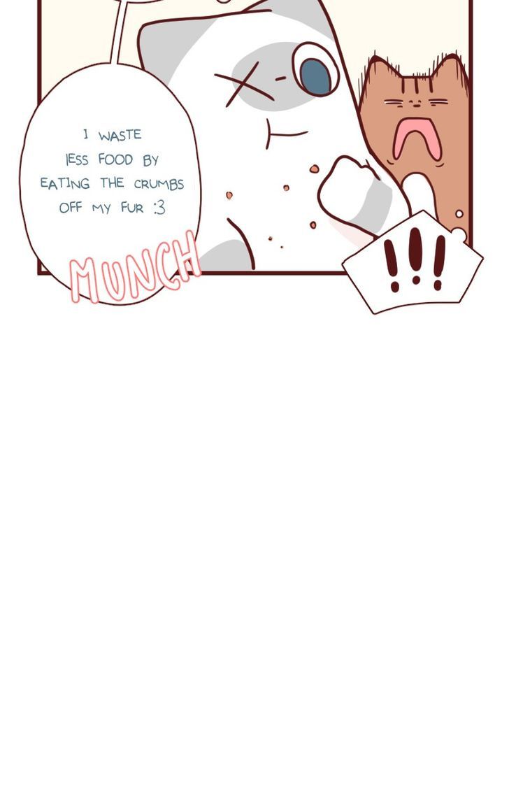 Saphie: The One-Eyed Cat Chapter 18 page 6 - Chapter 18 : Efficiency