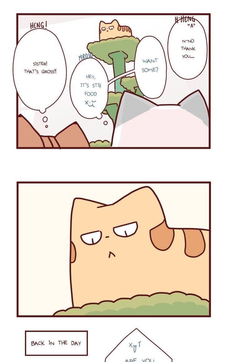 Saphie: The One-Eyed Cat Chapter 18 page 7 - Chapter 18 : Efficiency