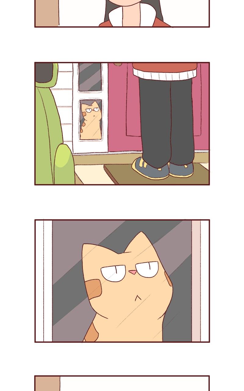 Saphie: The One-Eyed Cat Chapter 180 page 3 - Chapter 180
