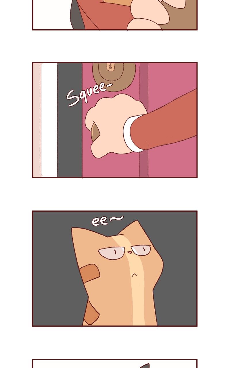 Saphie: The One-Eyed Cat Chapter 180 page 5 - Chapter 180