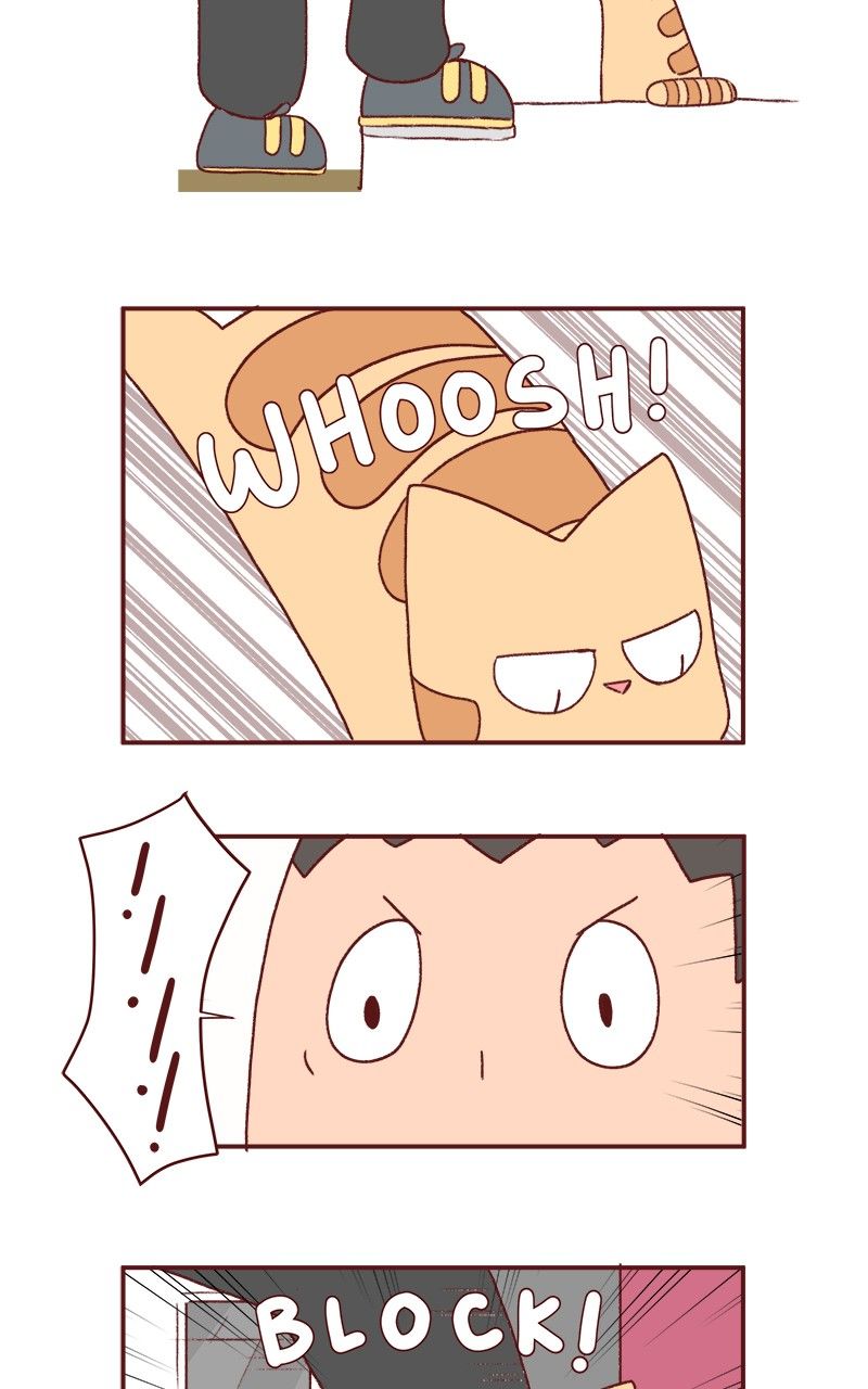 Saphie: The One-Eyed Cat Chapter 180 page 7 - Chapter 180