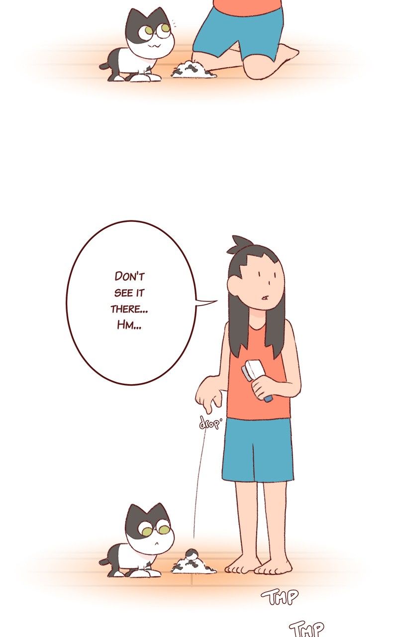 Saphie: The One-Eyed Cat Chapter 181 page 3 - Chapter 181